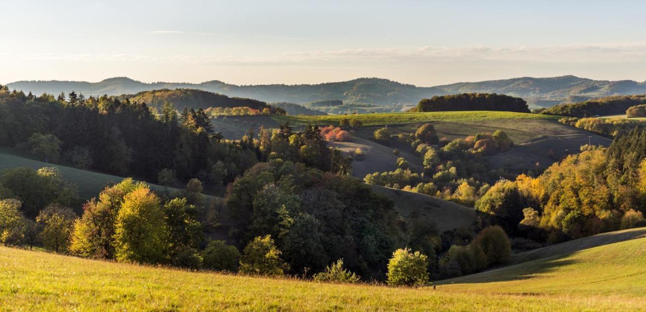 Gemutliche Ferienwohnung D'N Uitkijk - Willingen 维林根 外观 照片